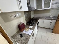 Dunman View (D15), Condominium #559140841